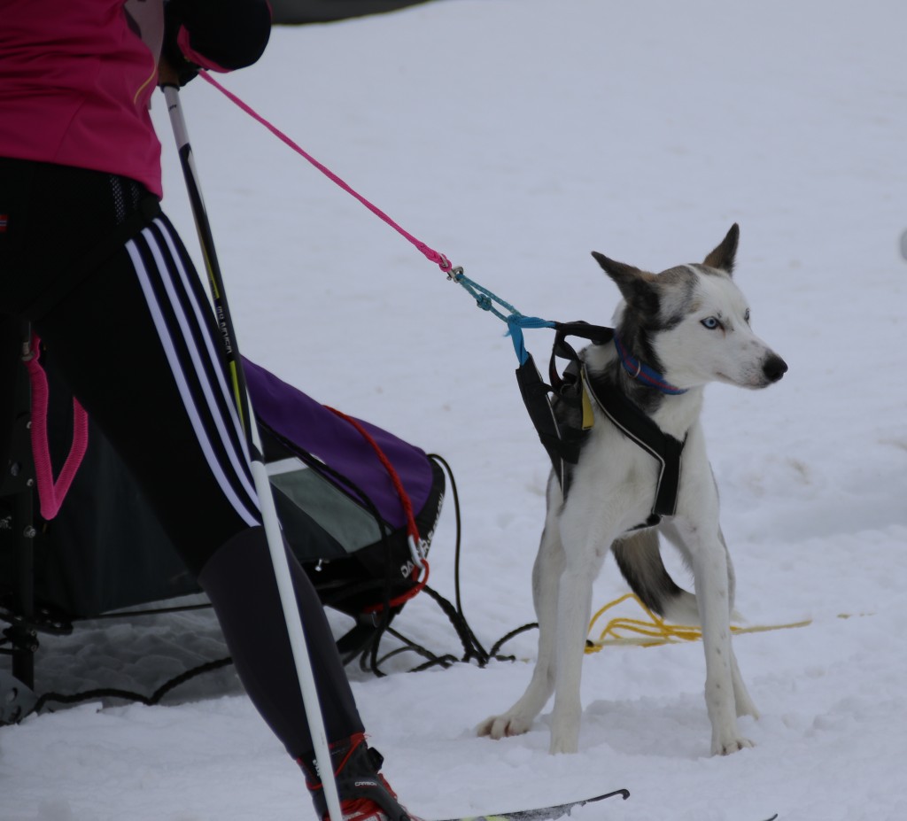 2017_3Y0A1269.jpg