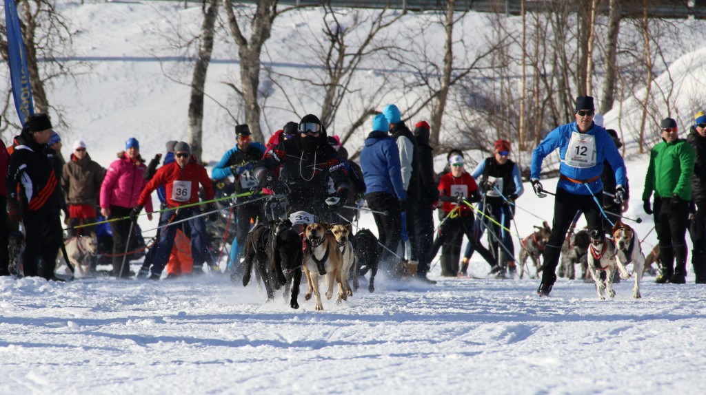 2017_start_img1.jpg
