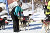 2017_3Y0A0633.jpg
