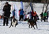 2017_3Y0A0675.jpg