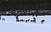 2017_3Y0A0709.jpg