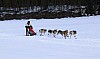 2017_3Y0A0716.jpg