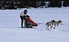2017_3Y0A0718.jpg