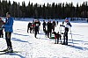 2017_3Y0A0732.jpg