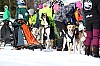 2017_3Y0A0780.jpg