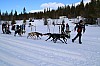 2017_3Y0A0799.jpg