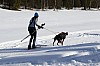 2017_3Y0A0858.jpg