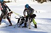 2017_3Y0A0867.jpg