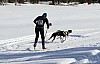 2017_3Y0A0873.jpg