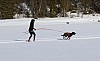 2017_3Y0A0910.jpg