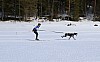 2017_3Y0A0921.jpg