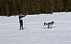 2017_3Y0A0925.jpg