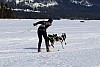 2017_3Y0A0934.jpg