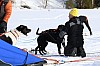 2017_3Y0A0944.jpg