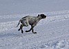 2017_3Y0A0969.jpg