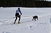 2017_3Y0A0975.jpg