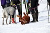 2017_3Y0A0991.jpg