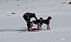 2017_3Y0A1006.jpg