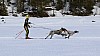 2017_3Y0A1017.jpg