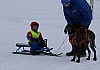 2017_3Y0A1033.jpg