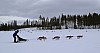 2017_3Y0A1081.jpg
