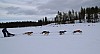 2017_3Y0A1084.jpg