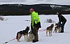 2017_3Y0A1182.jpg