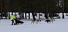 2017_3Y0A1249.jpg