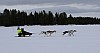2017_3Y0A1255.jpg