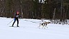 2017_3Y0A1286.jpg