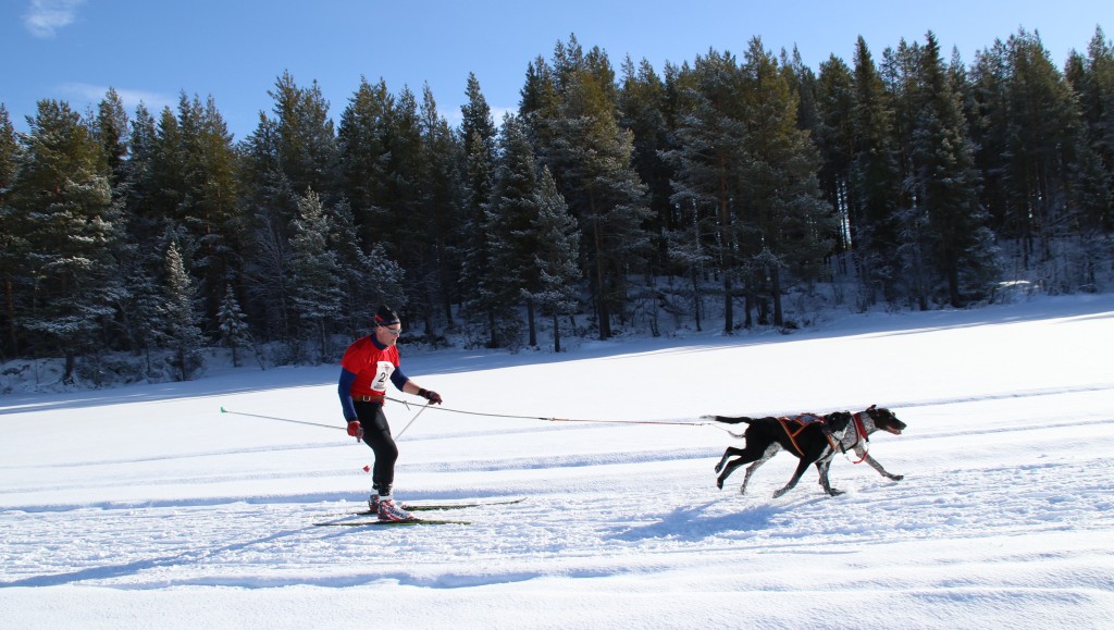 3Y0A1479.jpg