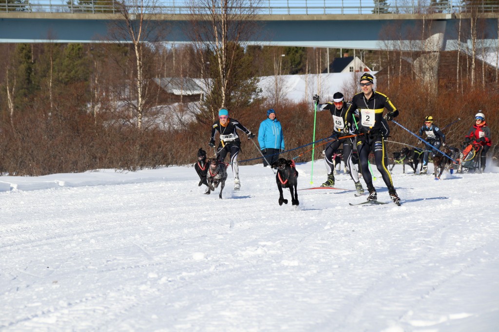 2017_3Y0A2126.jpg