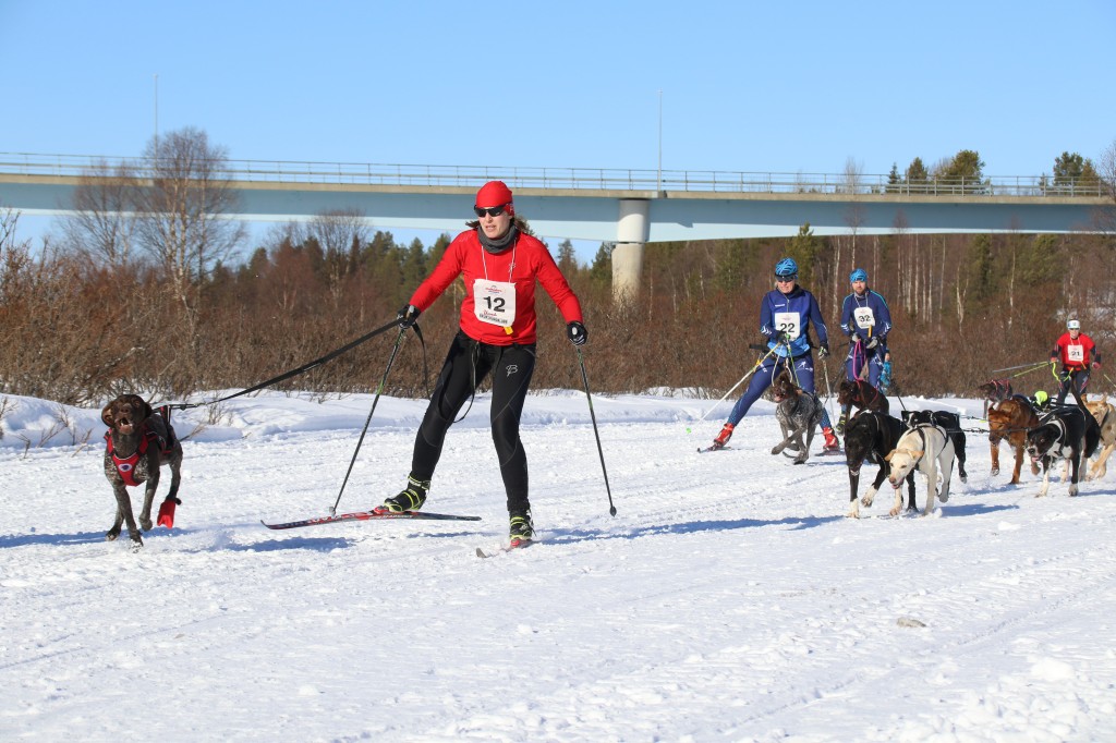 2017_3Y0A2133.jpg