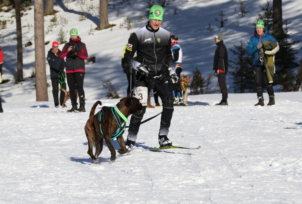 2017_3Y0A2287.jpg