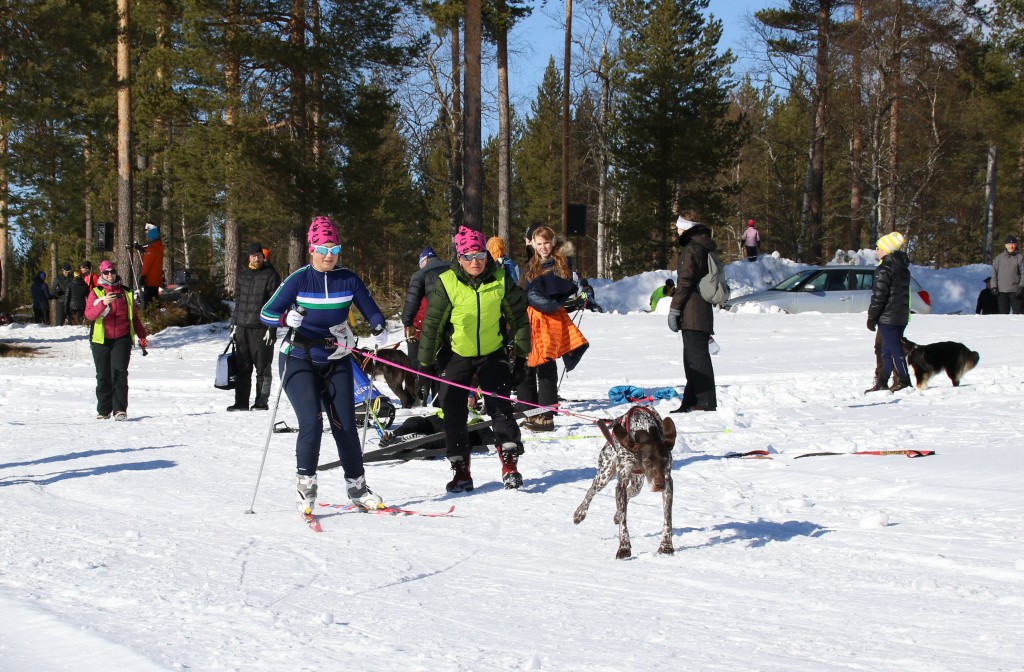 2017_3Y0A2368.jpg