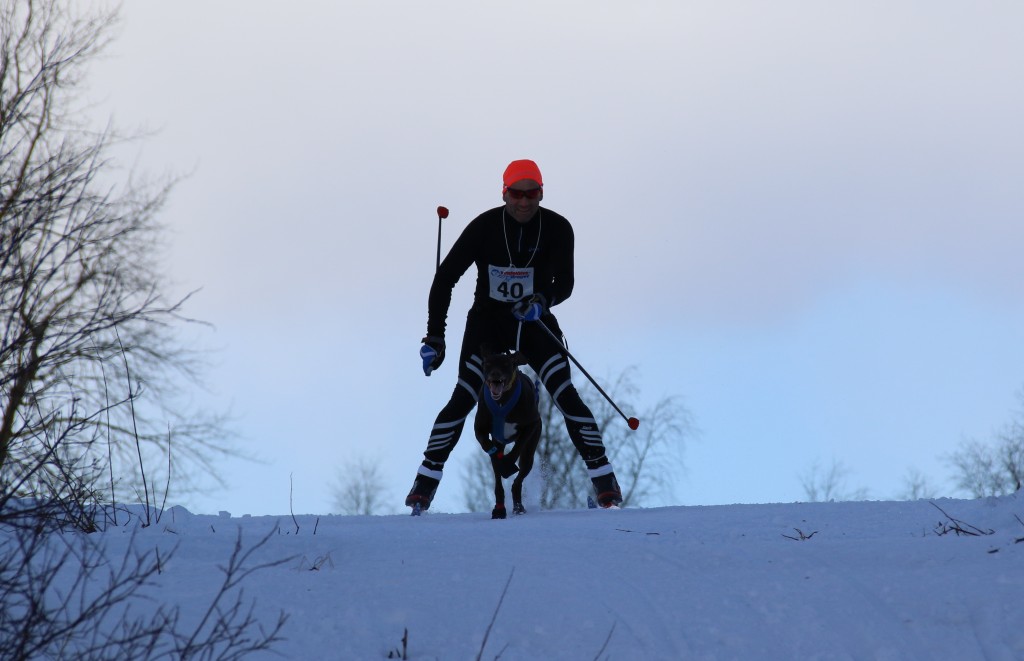 2017_3Y0A2485.jpg