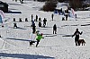 2017_3Y0A2106.jpg