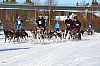 2017_3Y0A2129.jpg