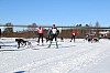 2017_3Y0A2132.jpg