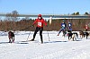 2017_3Y0A2133.jpg