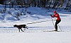 2017_3Y0A2170.jpg