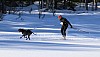 2017_3Y0A2177.jpg