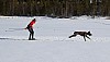 2017_3Y0A2184.jpg
