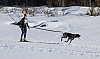 2017_3Y0A2192.jpg