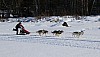 2017_3Y0A2195.jpg