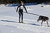 2017_3Y0A2200.jpg