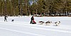 2017_3Y0A2226.jpg