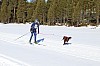 2017_3Y0A2239.jpg