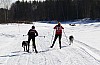 2017_3Y0A2249.jpg