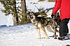2017_3Y0A2255.jpg